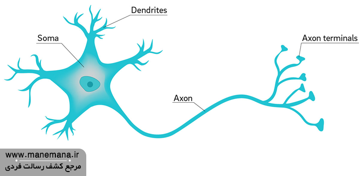 یک سلول عصبی